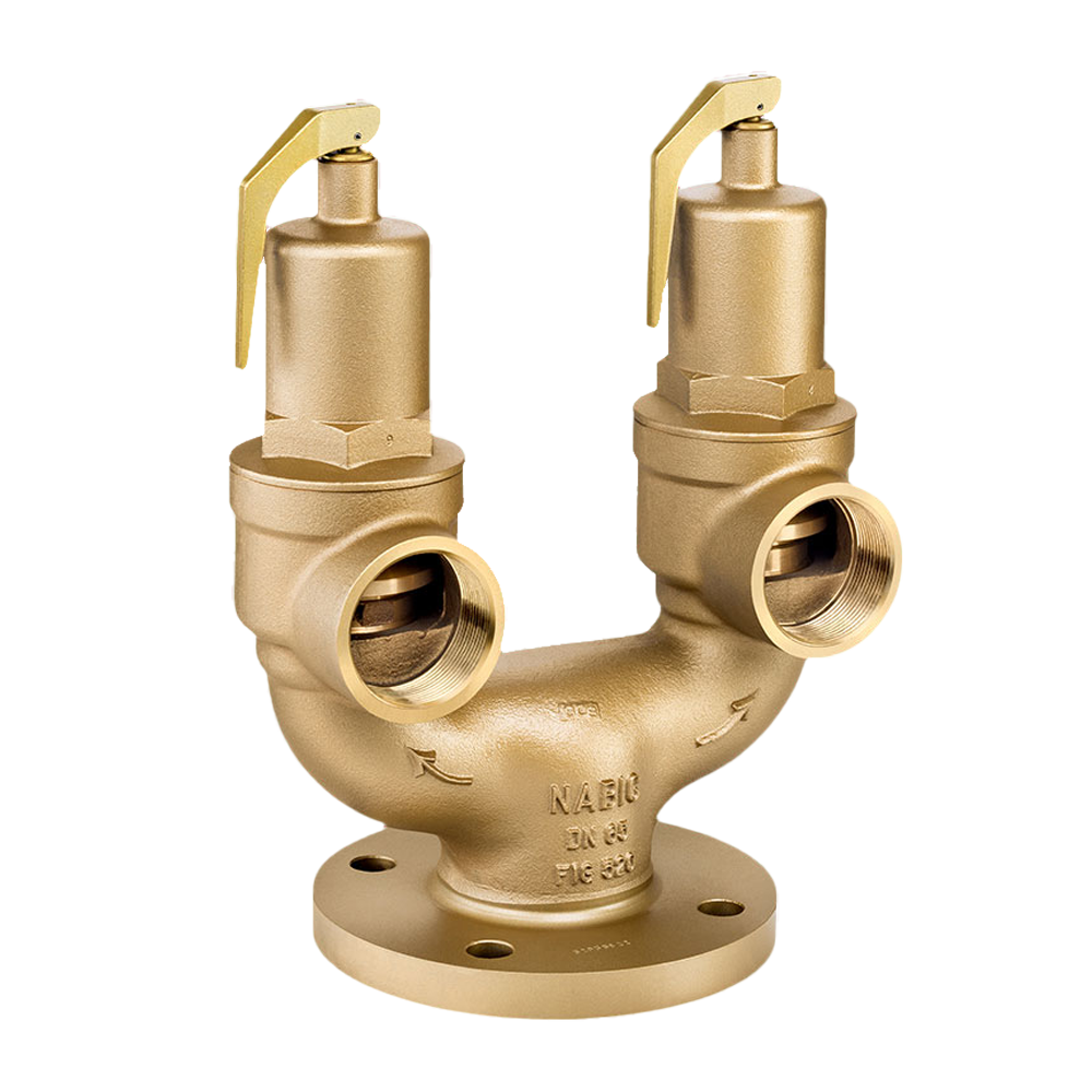 NABIC Valves available from Safety Valves Online