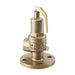 NABIC Fig 500F Safety Relief Valve available from Safety Valves Online