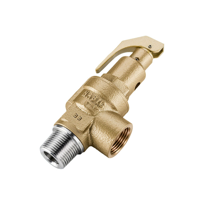 NABIC Fig 500SS Safety Relief Valve available from Safety Valves Online