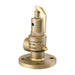 NABIC Fig 542F Safety Relief Valve available from Safety Valves Online