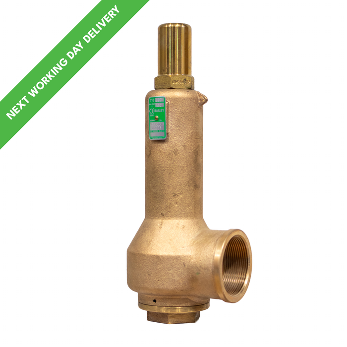 Bailey 716VSD Safety Relief Valve (AFLAS disc with Dome Top – suitable for Gas service)