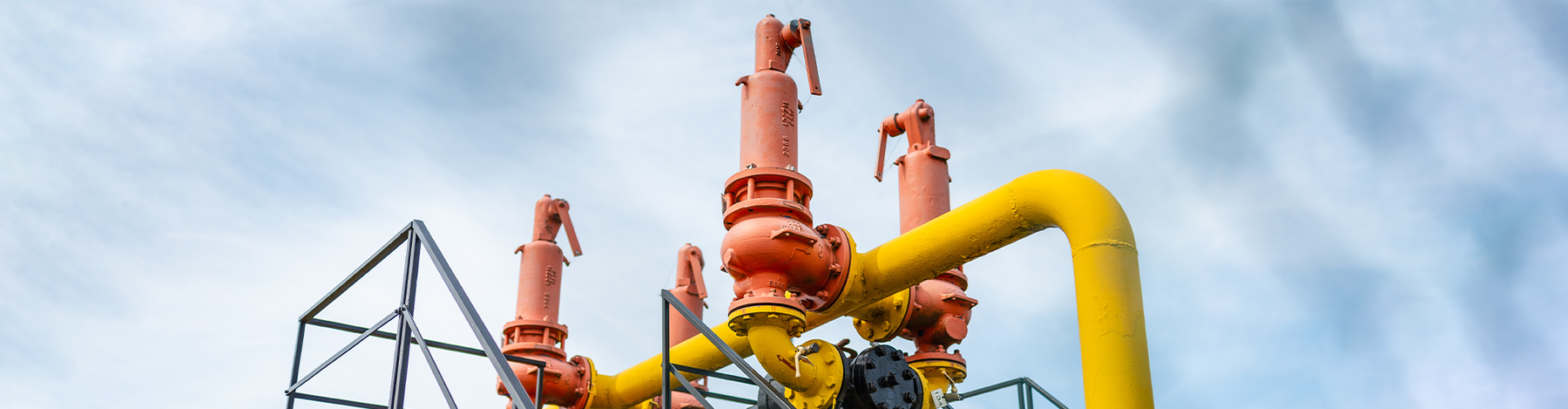 Safety Relief Valves: Sizing and Selection