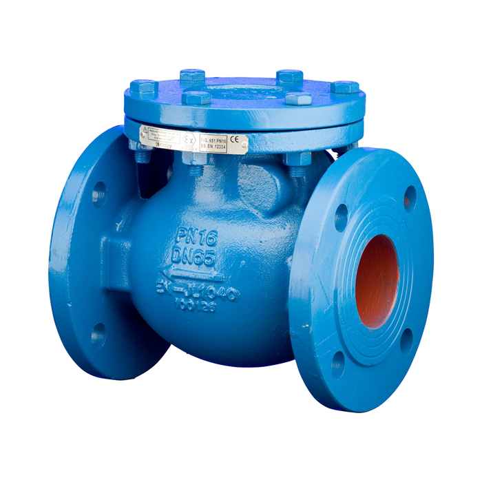 Hattersley Fig M651 PN16 Swing Check Valve