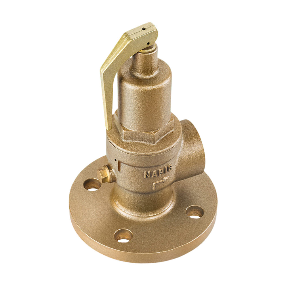 NABIC 542F Flanged Safety Relief Valve — Safety Valves Online