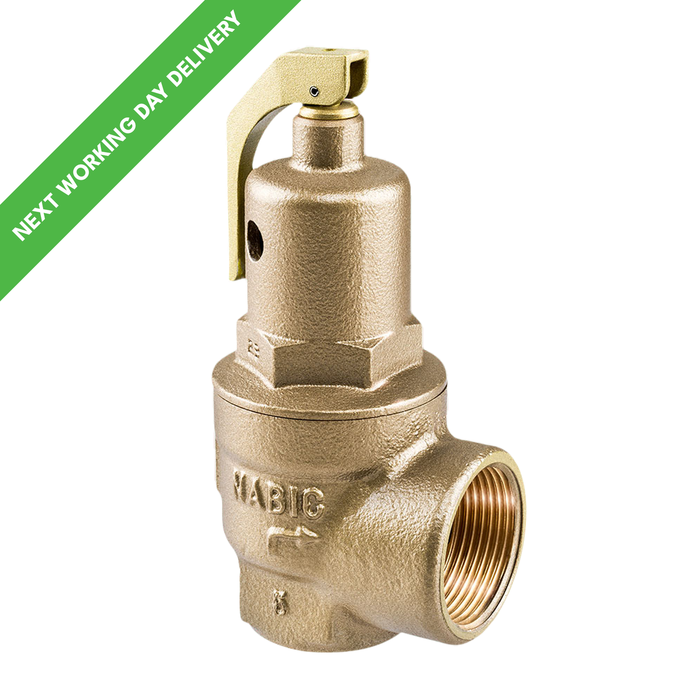 NABIC 500 High Lift Safety Valve — Safety Valves Online