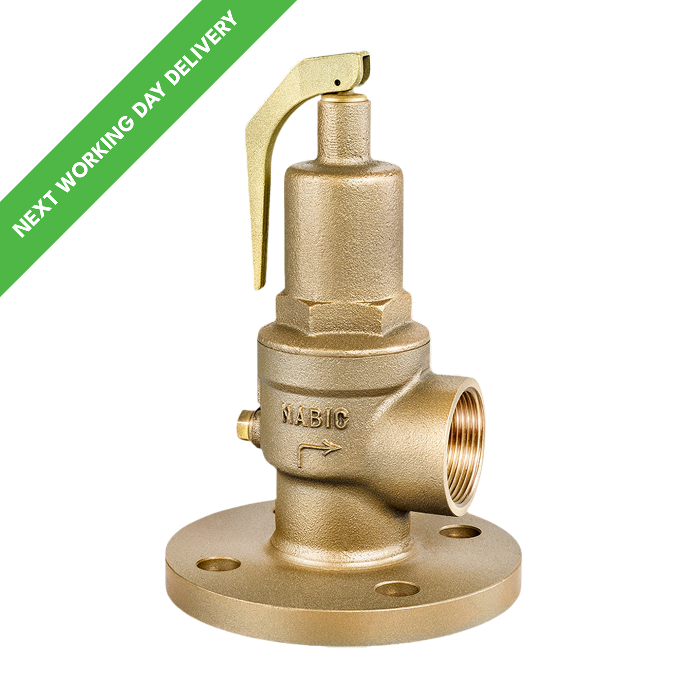NABIC 542F Flanged Safety Relief Valve — Safety Valves Online