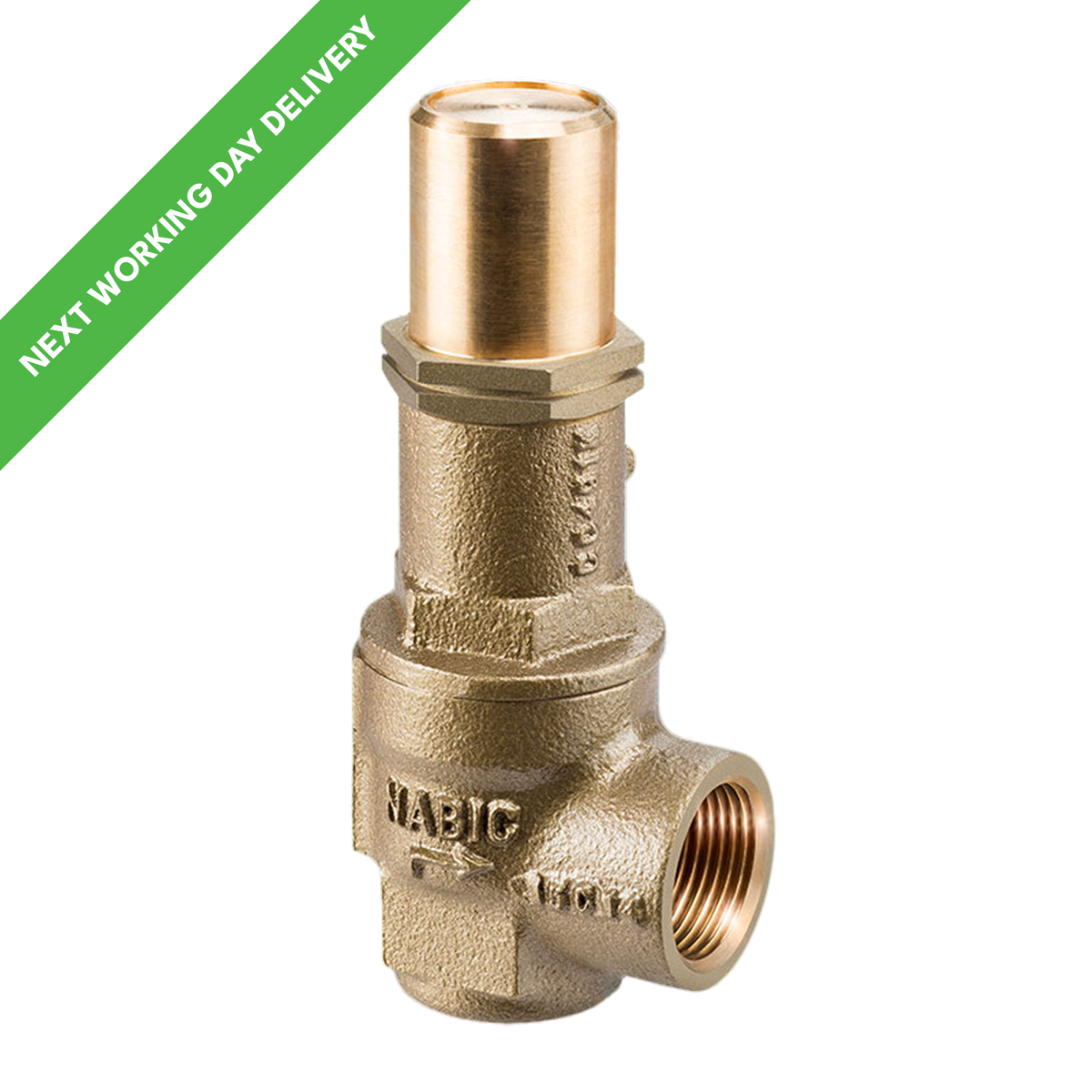 NABIC 542L Pressure Relief Valve — Safety Valves Online